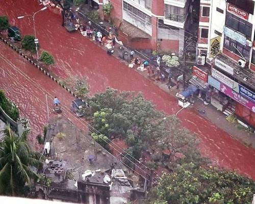 Dhaka Celebrated Red Eid-al Adha And There's Nothing Happy About It, Here's Why