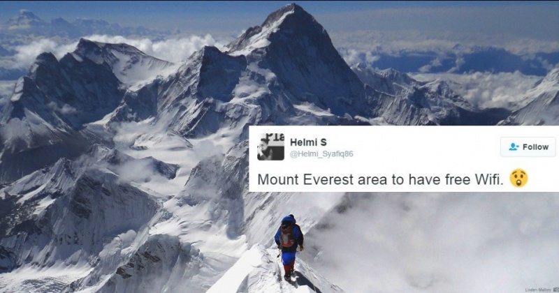 Everest Expedition Adventure Consultants