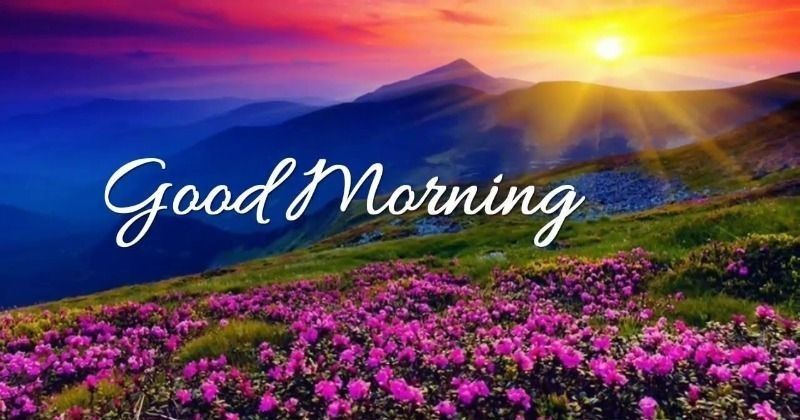 Whatsapp Freezes Because Indians Send Over 100 Crore Good Morning