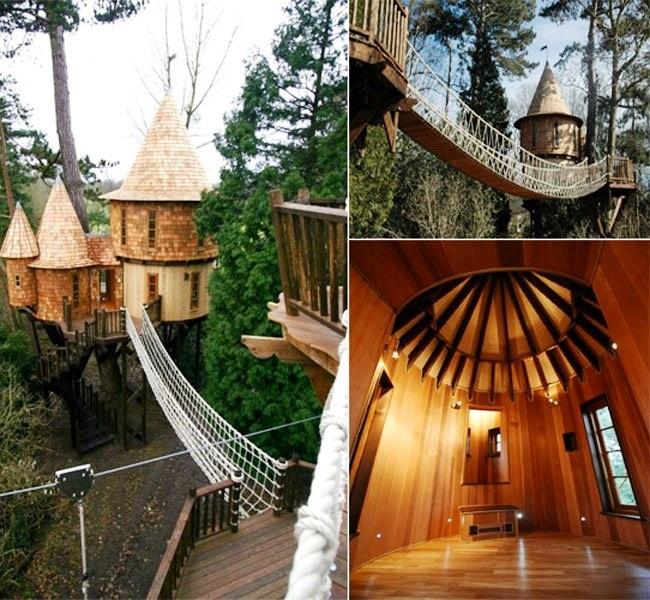 Modular Tree House