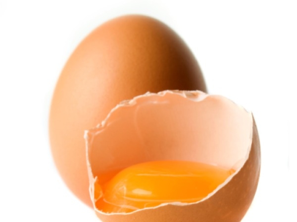 best products for dry hair