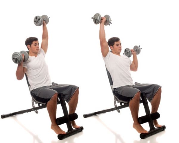 Top 10 Best Arm Exercises