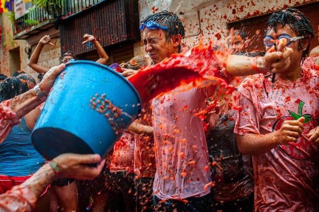 Worlds Biggest Tomato Fight 