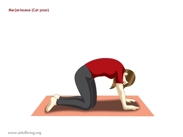 Yoga Exercises: Healing Scoliosis with Yoga