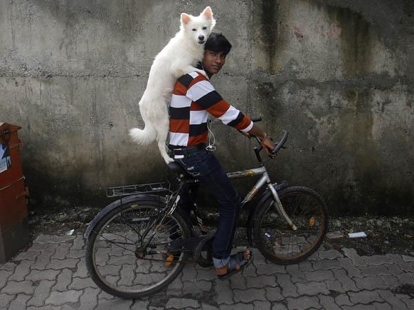 Laughing Fit: Best Funny Pictures from Around the World | Healthy Living Laughing Fit: Best Funny Pictures from Around the World | Healthy Living