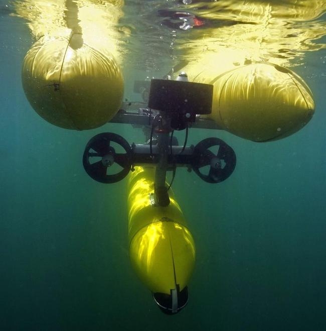 Marine Robotic Systems