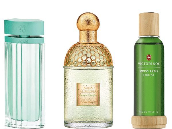 earthy perfumes