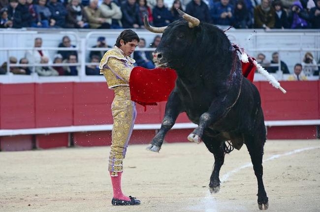 STUNNING PICS: Bullfighting In France