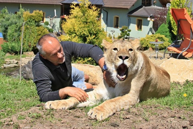 OMG PICS: Couple Living With Pet Lions!