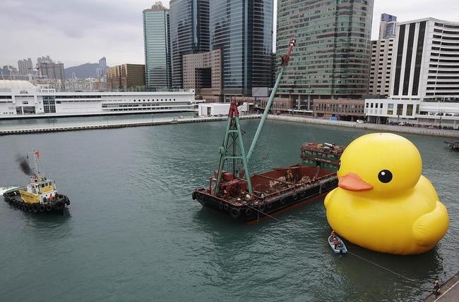 What's With The Giant Rubber Duck?