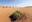 The Terrific Sand Dunes of the Liwa Desert