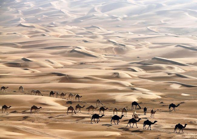 The Terrific Sand Dunes of the Liwa Desert