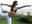 Yoga: Core Conditioning Through Yoga  CORE CULTURE