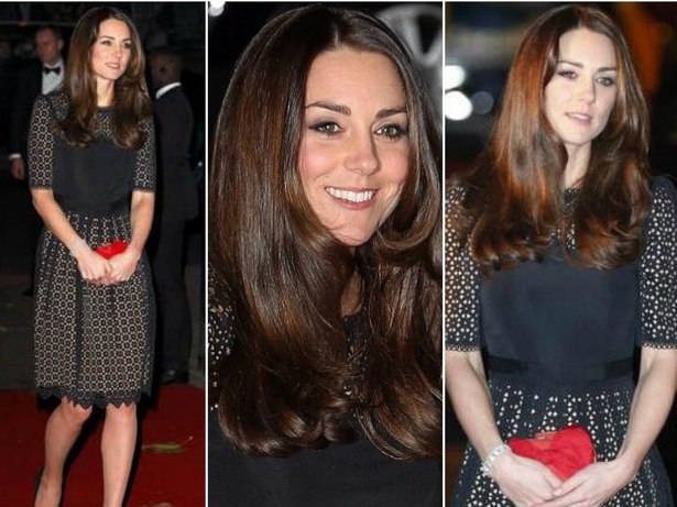 Kate Middleton Stuns At Charity Ball