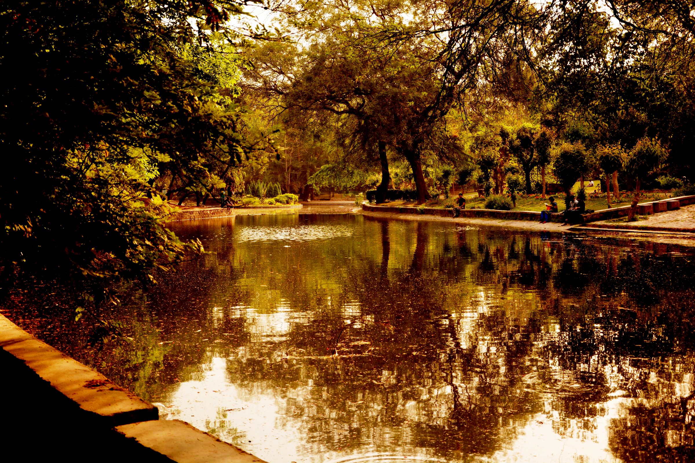 PICS The Beautiful Lodi Gardens