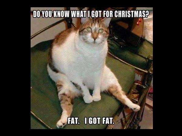 Funny Fitness Memes | Diet & Fitness