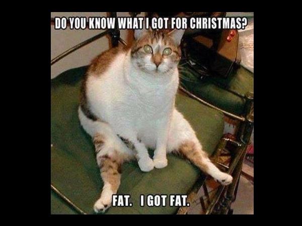 Funny Fitness Memes | Diet & Fitness Funny Fitness Memes | Diet & Fitness