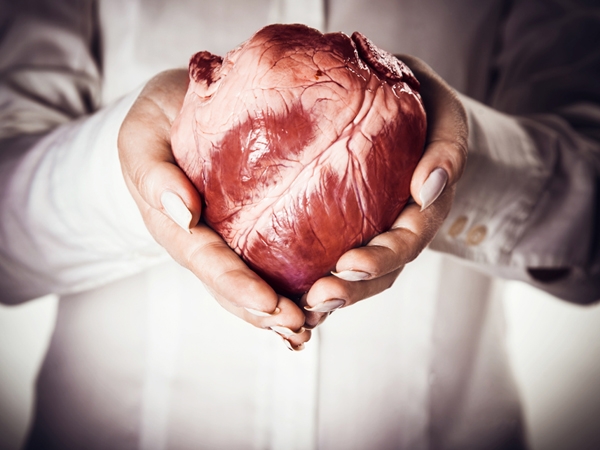 12-incredible-facts-about-the-human-heart-healthy-living