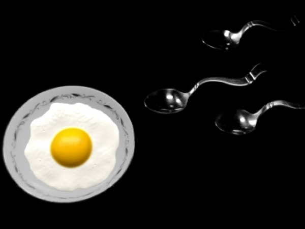Top 17 Interesting Facts About Sperm Healthy Living 6169