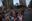 Stunning 'Manhattanhenge' Sunset Thrills New York: PICS