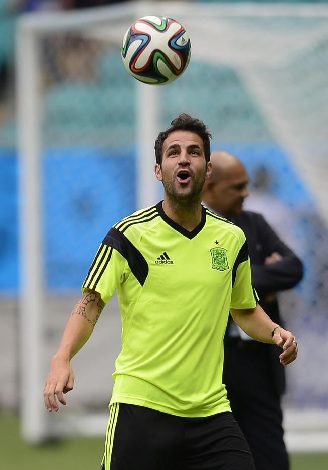 Cesc Fabregas (Chelsea) Cesc Fabregas (Chelsea)