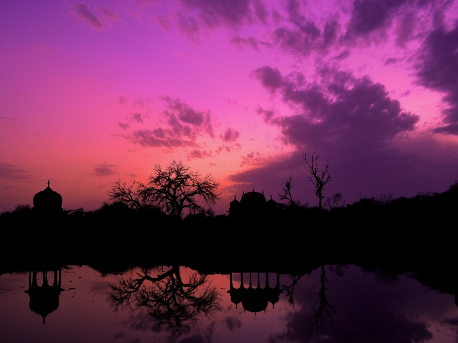 Nicefoto 2014: Top 12 'Nice' Pics