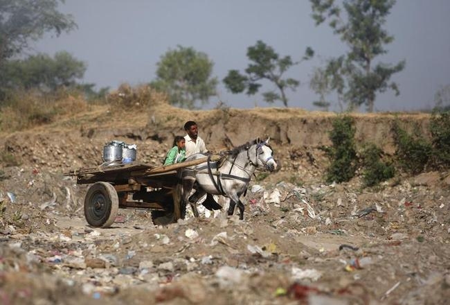 India's Garbage Raises a Stink: PICS