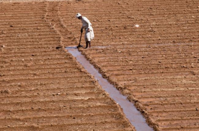 Narendra Modi's 'Magical' Development Narendra Modi's 'Magical' Development