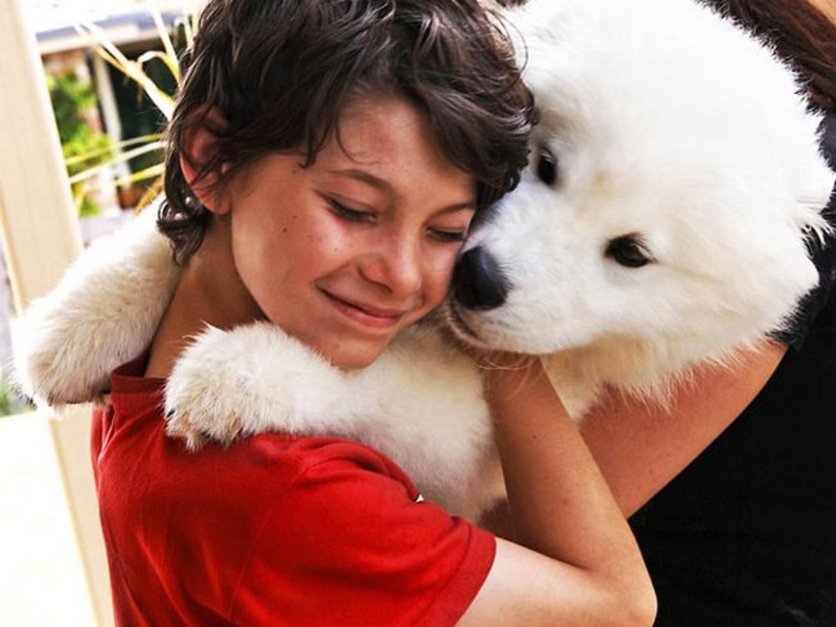 Do Puppies Feel Warm