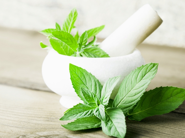 15 Ways to Use Mint for Your Skin and Hair | Healthy Living