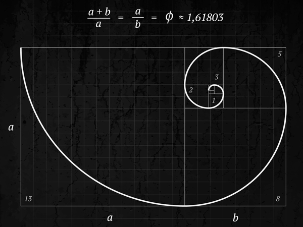 The Golden Ratio in Human Beings | Healthy Living