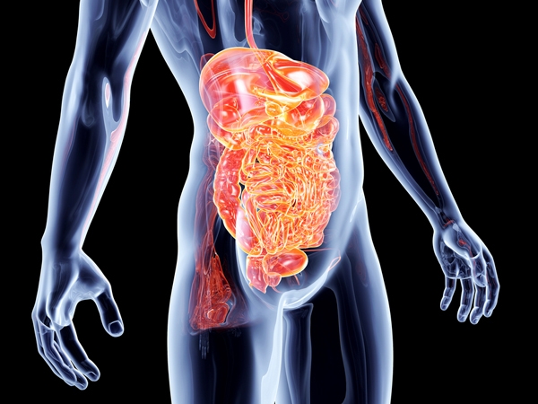 7 Surprising Facts about the Digestive System | Healthy Living