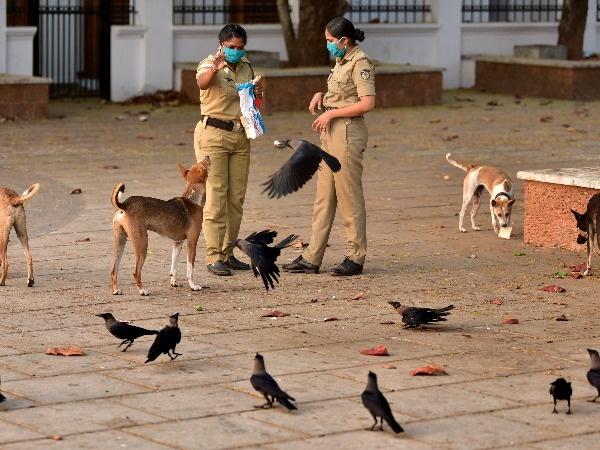 Amid the world's strictest lockdown, people who feed stray dogs