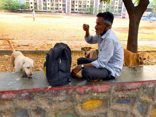 Amid the world's strictest lockdown, people who feed stray dogs