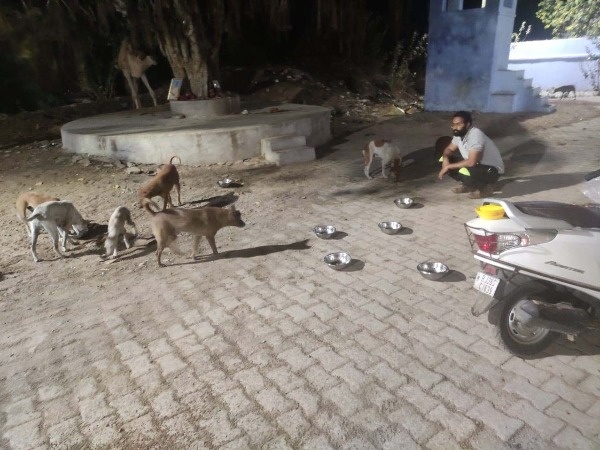 Amid the world's strictest lockdown, people who feed stray dogs