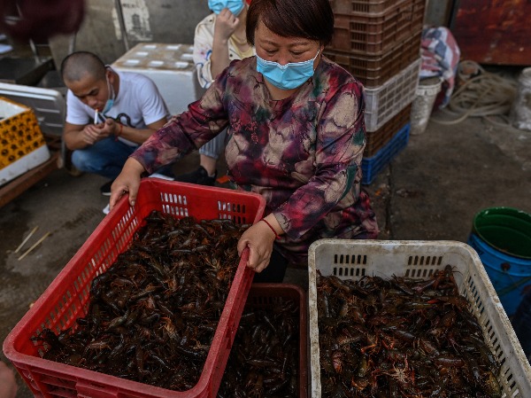 Wuhans Reopened Wet Markets Down On Business