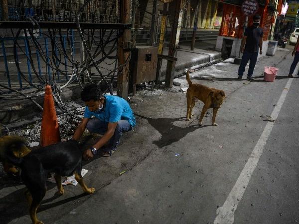 Amid the world's strictest lockdown, people who feed stray dogs