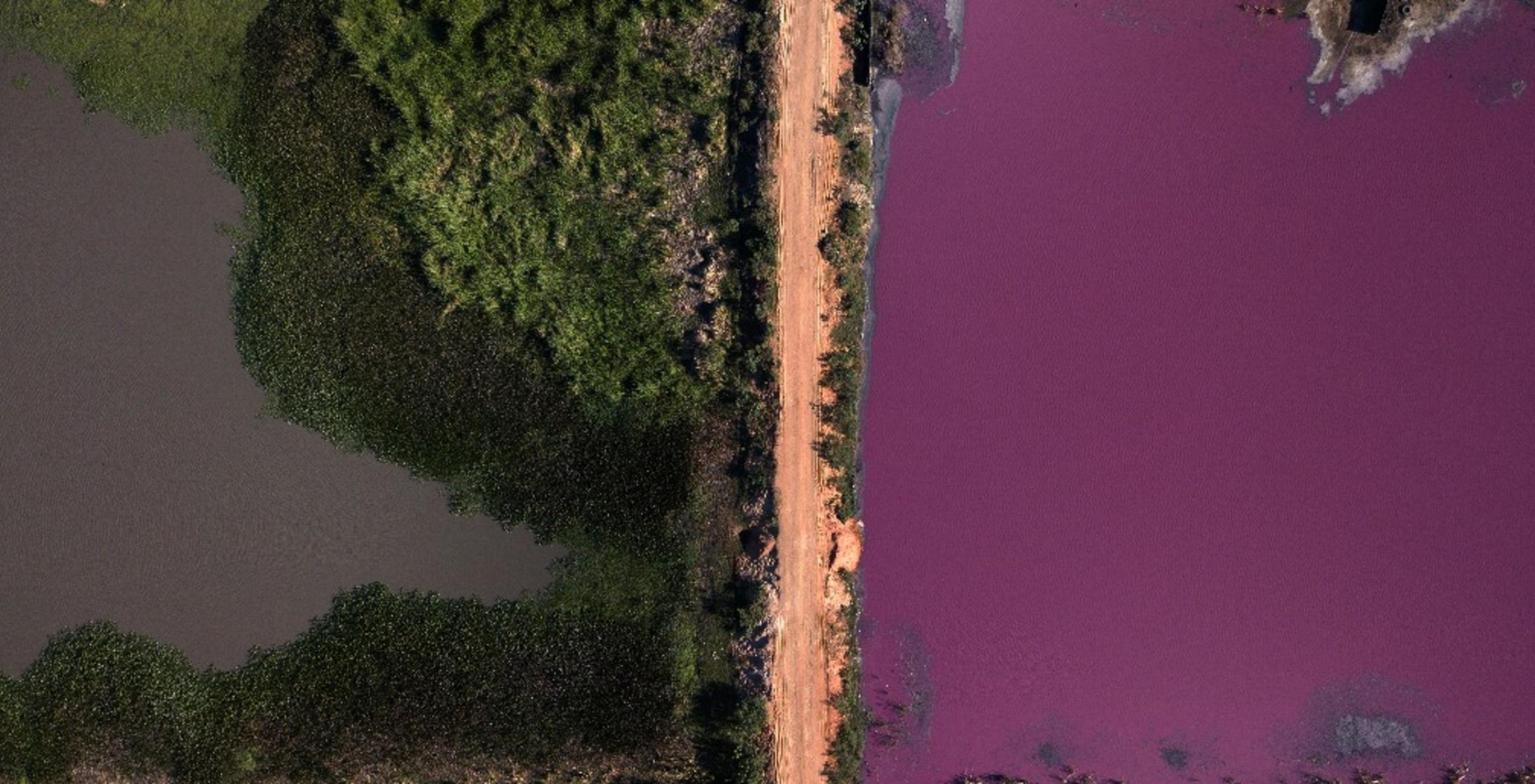 Pollution Turns Paraguayan Lagoon Purple