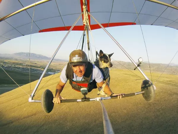 unusual human animal friendship