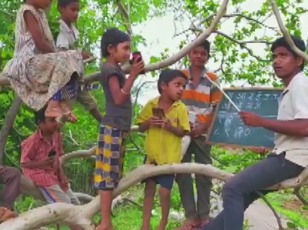 Indiatimes Teacher And Students Climb Trees To Get Mobile Network For Classes