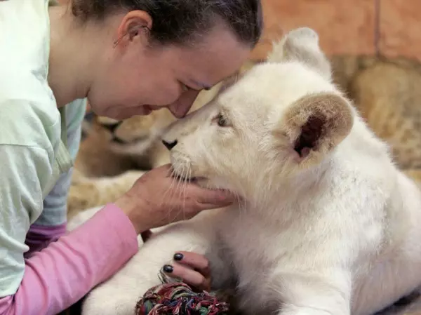 unusual human animal friendship