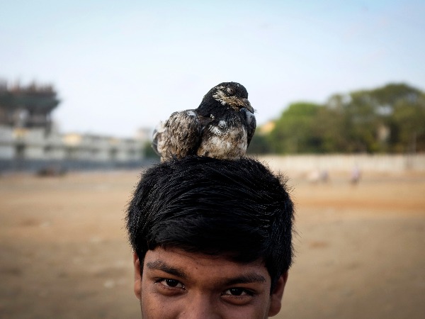 unusual human animal friendship