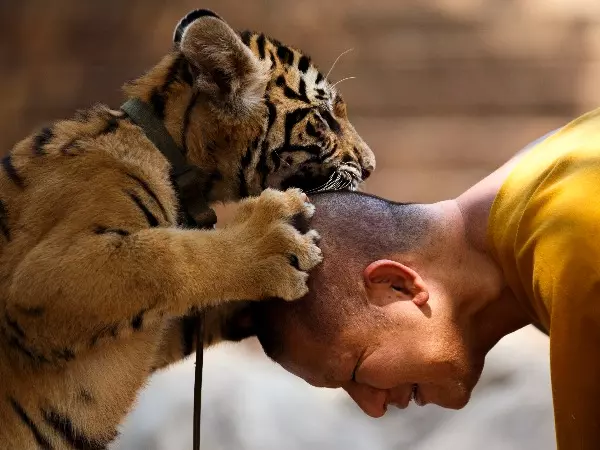 15 Incredible Friendship Between Humans & Animals Show What True Love & Loyalty Are All About