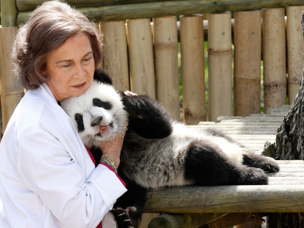 unusual human animal friendship