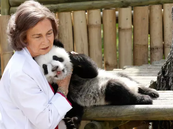 unusual human animal friendship