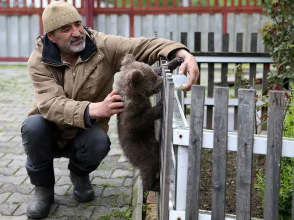 unusual human animal friendship