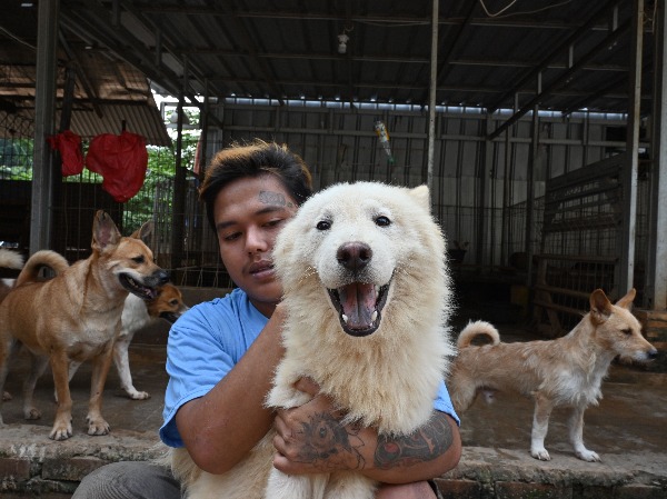 Meet The Woman Who Rescued Over 1,000 Dogs From Butchers & Is Caring ...