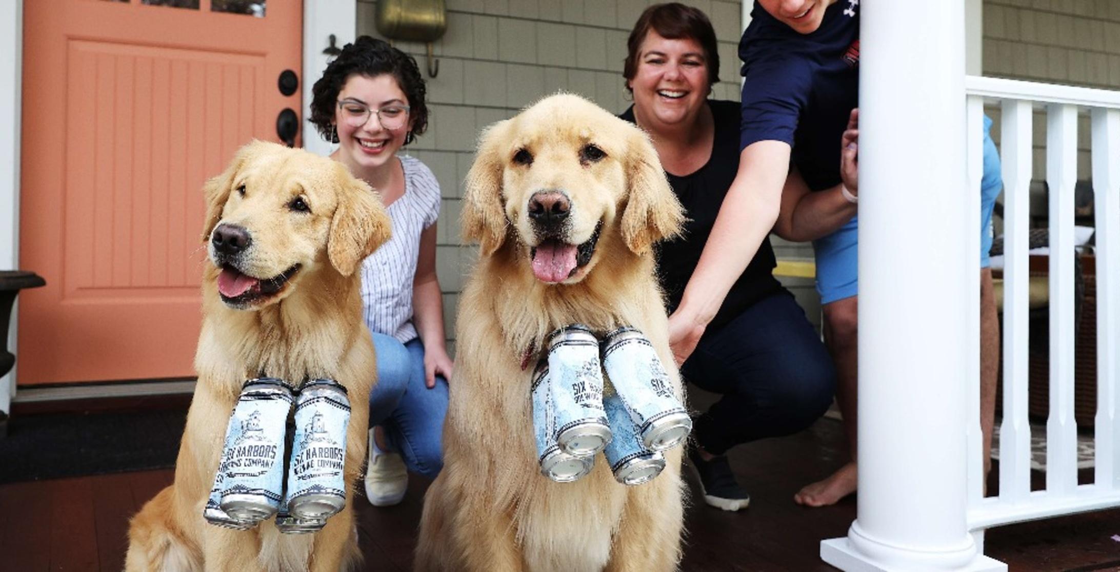 Meet Buddy And Barley The Brew Dogs Bringing Joy Beer To Customers During Covid