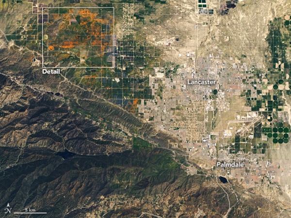 NASA Satellite Images: California Wildflower Poppy Super Bloom Seen