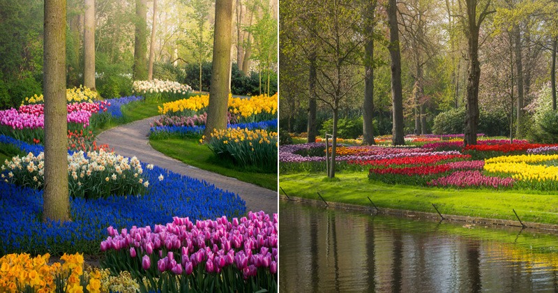 Closed For The First Time In 71 Years, The World's 'Most Beautiful